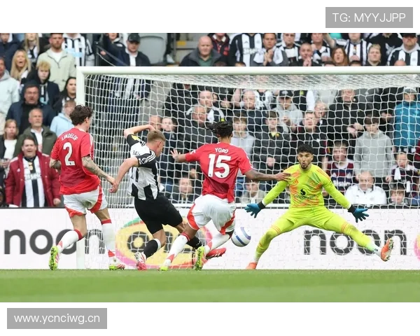 巴尔韦德：攻防全能与体系角色解析