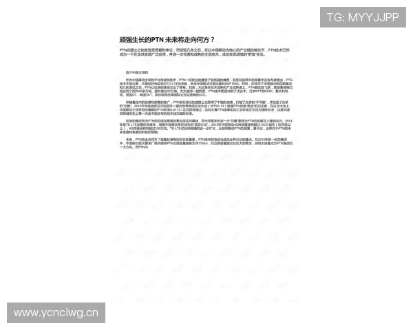 杜埃的技术特点与成长潜力如何决定其未来上限